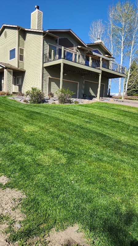 Landscaping and Snow Removal Services